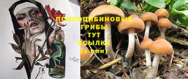 a pvp Аркадак