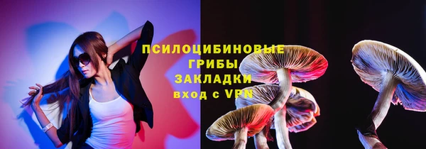 a pvp Аркадак