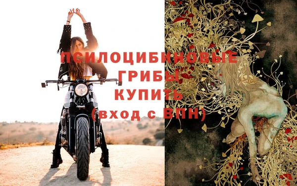 индика Армянск